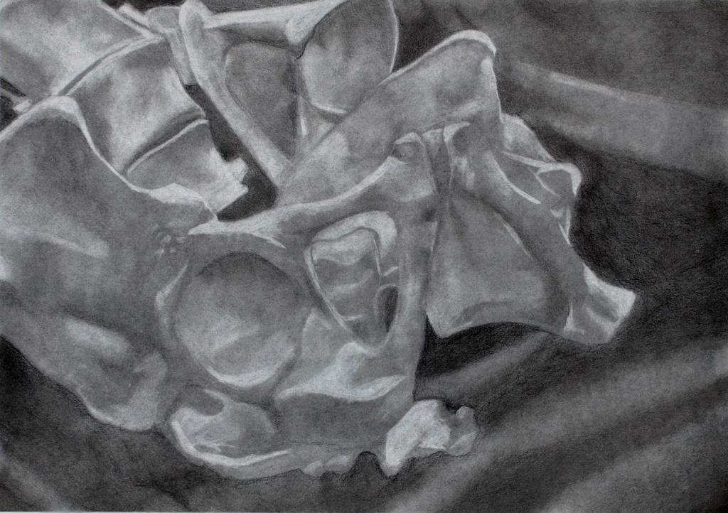 What Remains